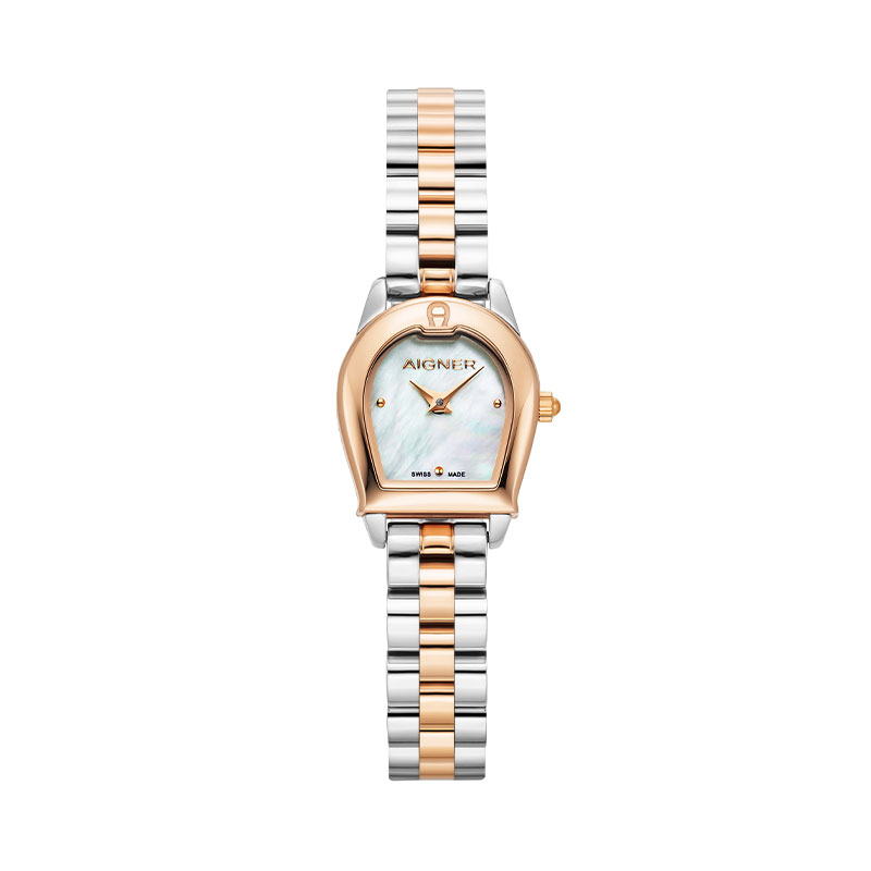 Aigner Jam Tangan Wanita AIGNER Molfetta AGW.253003
