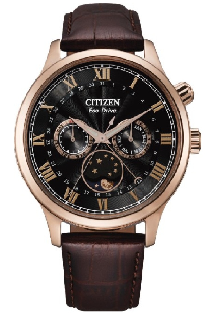 Jual Citizen Original 