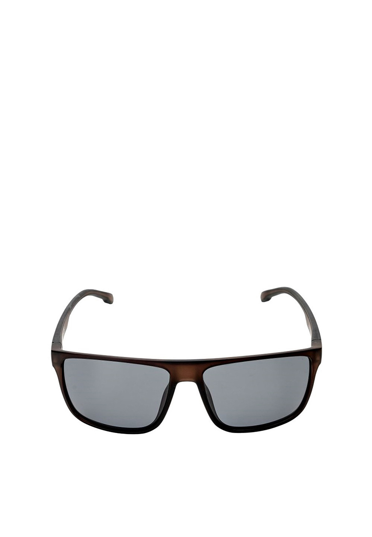 Eiger Biscoe-Wayfarer Sunglasses