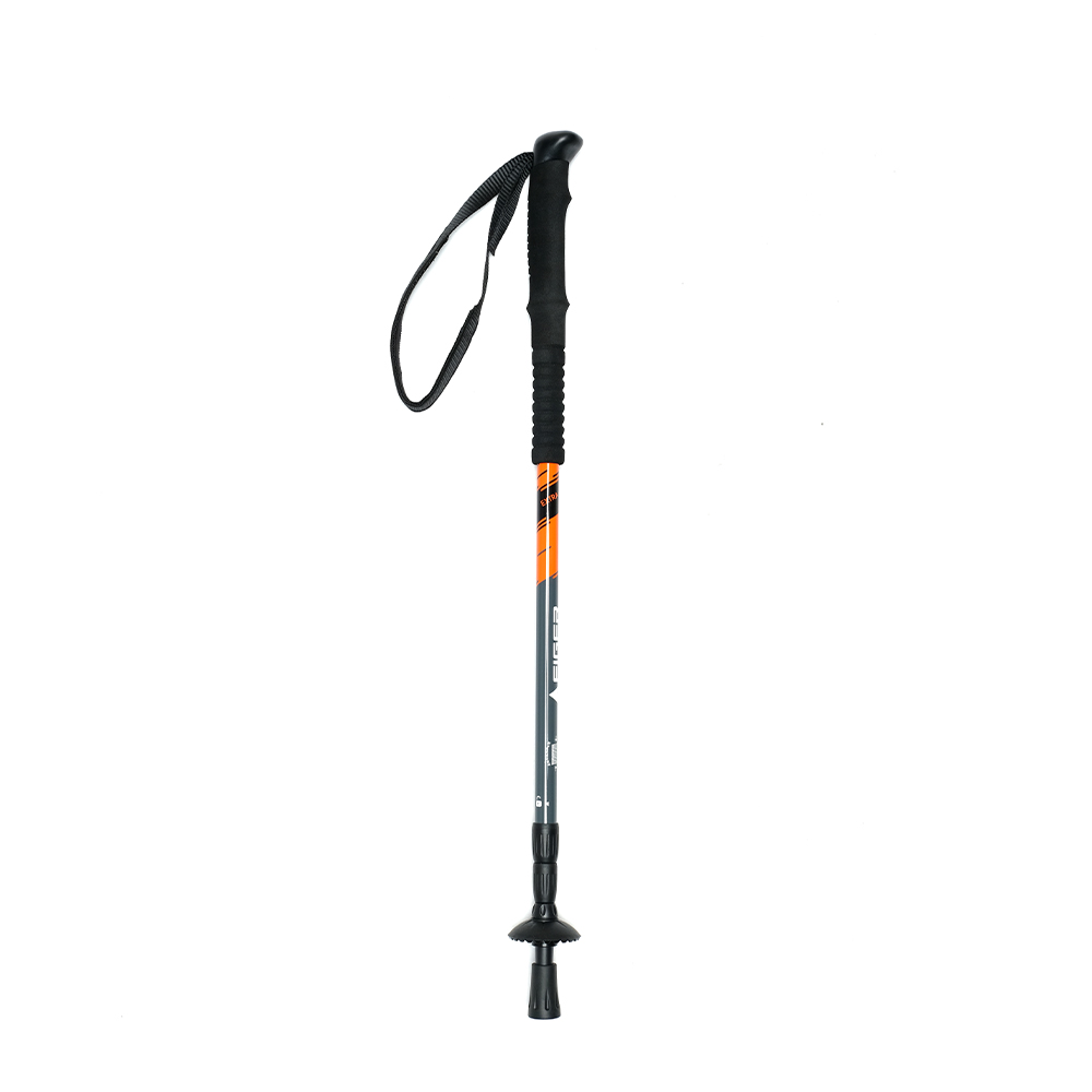Eiger Trail Enduro Trekking Pole