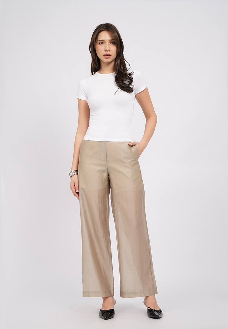 Executive Sheer Long Pants
