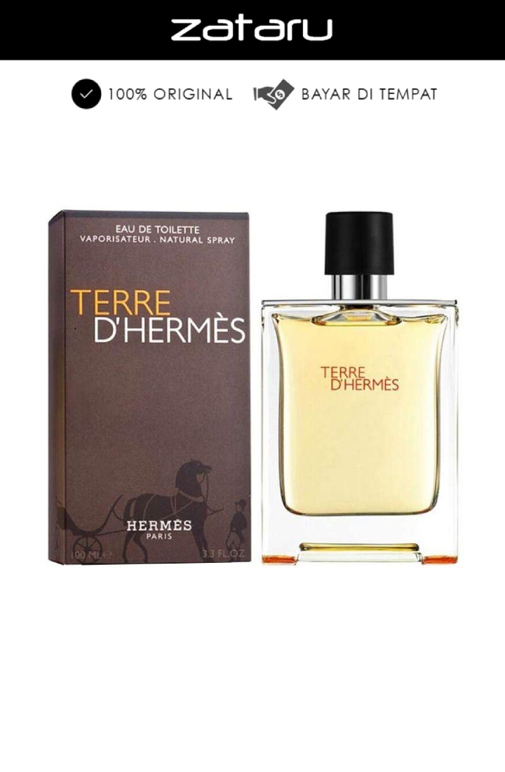 Hermès Hermes Terre D Hermes EDT Man - 100 ML (Parfum Pria)