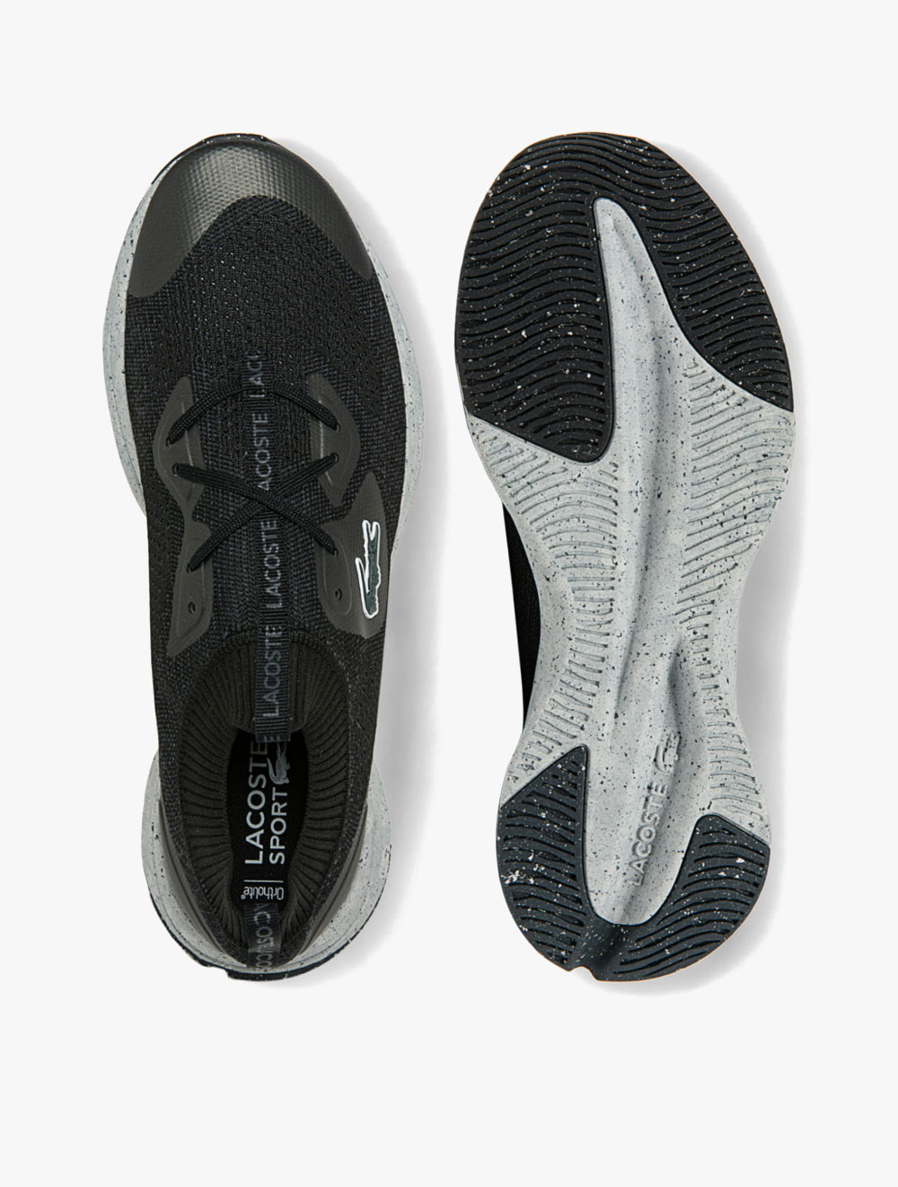 Jual Sepatu Lacoste Pria Original 
