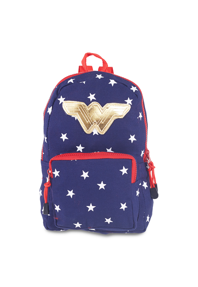 Locally Blend Justice League Backpack Small