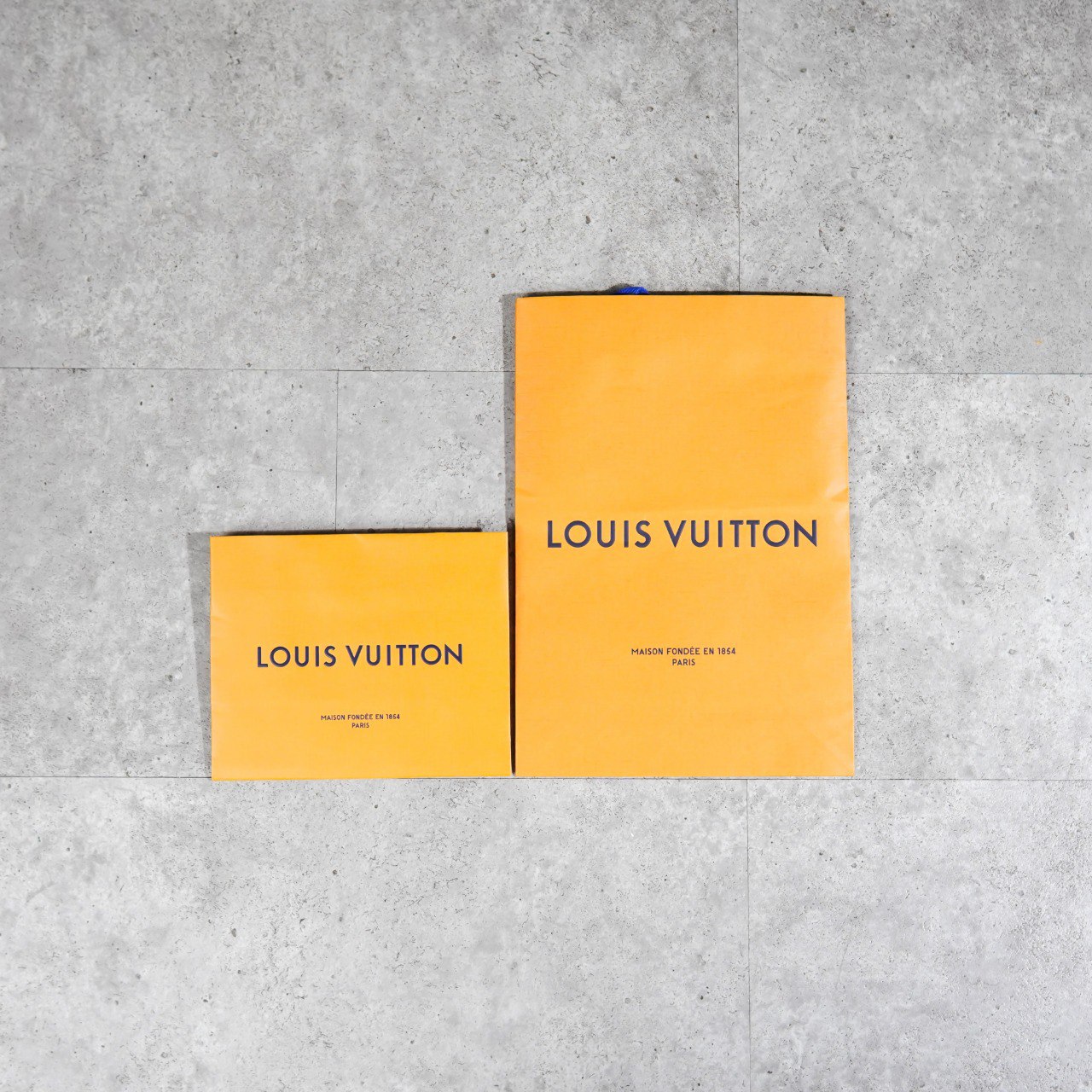 Louis Vuitton Tas PAPER BAG LOUIS VUITTON 100% ORIGINAL