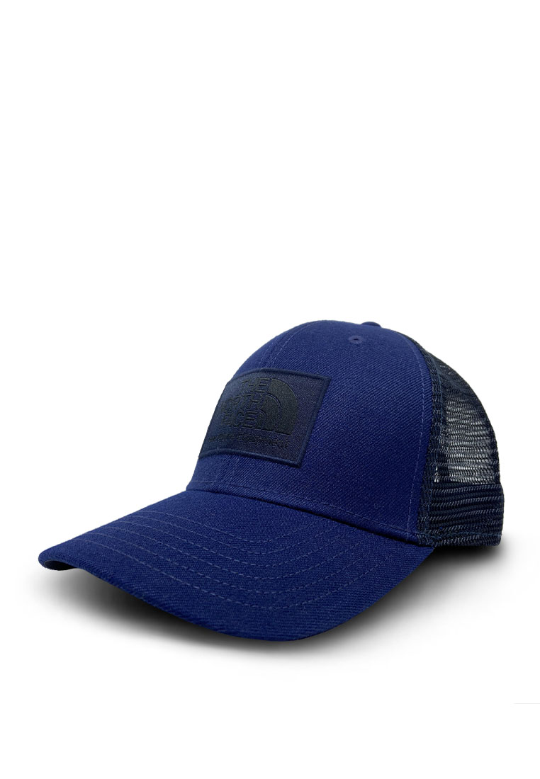 Jual Caps The North Face Pria Original 