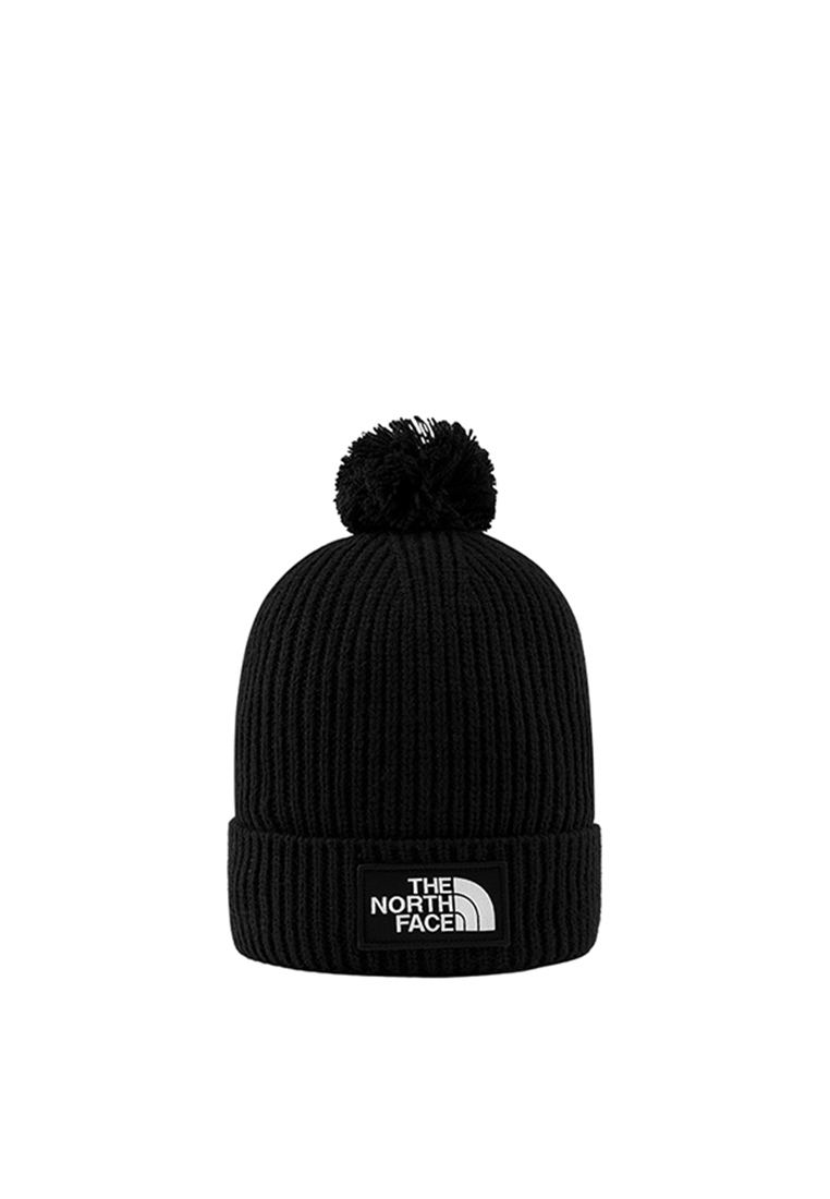 Jual Caps The North Face Pria Original 