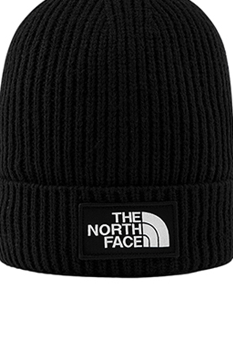 Jual Caps The North Face Pria Original 