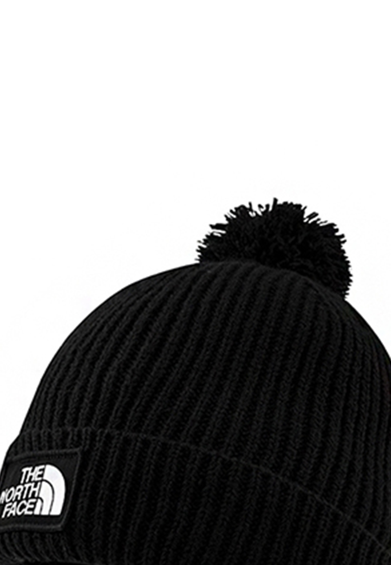 Jual Caps The North Face Pria Original 